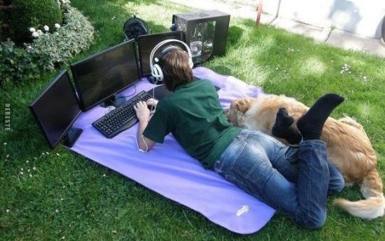 Ein Mensch liegt auf einer Decke auf einer Wiese und spielt dort am Computer. Daneben liegt ein Hund.